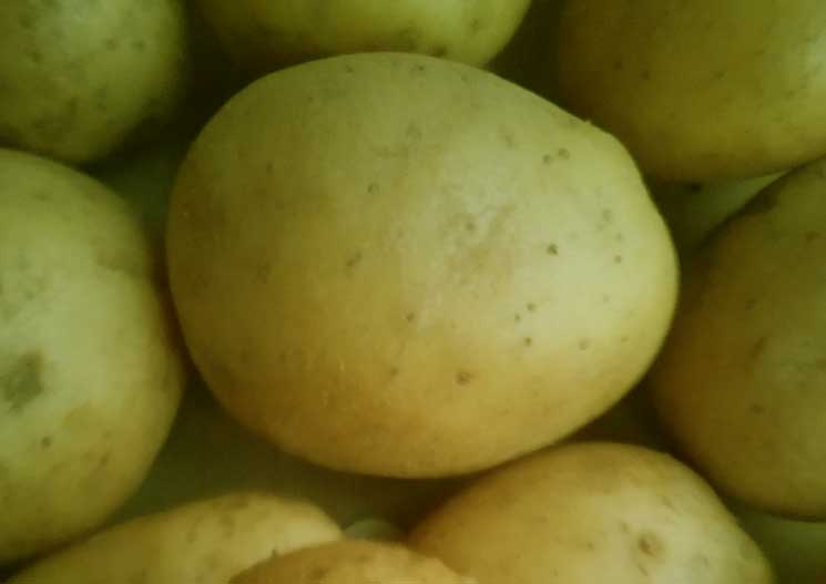 Aardappellen