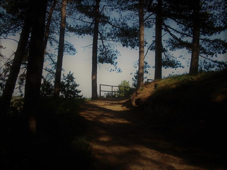 Duinen