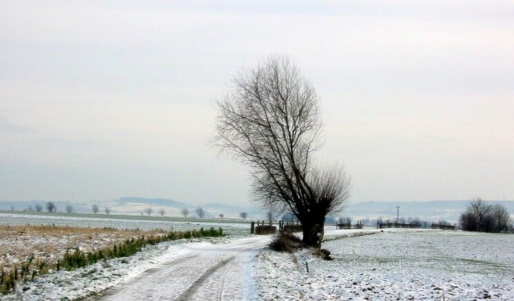 Winter landschap.